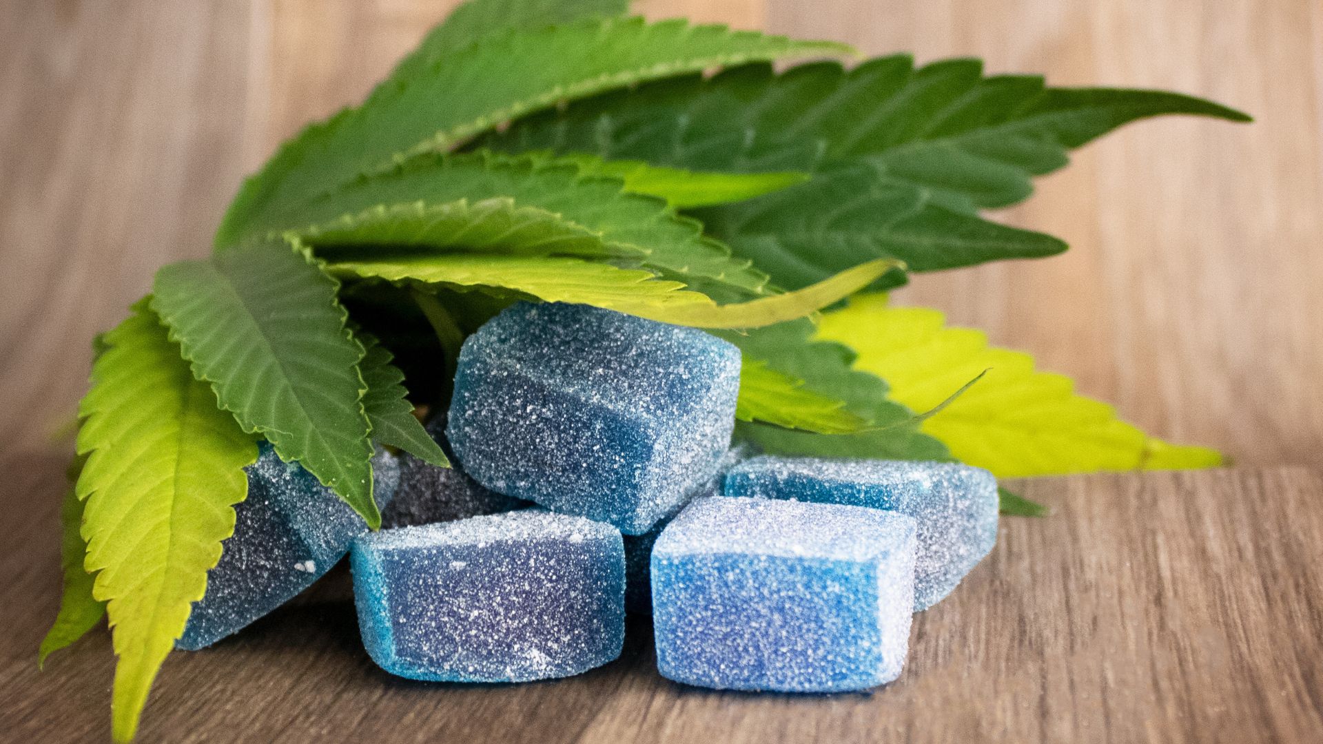 cannabis for sleep Michigan